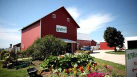 Maple Park farm celebrates 60 years  this season